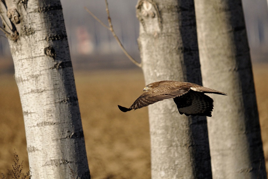 Ho voglia d''aria, esco a farmi un giro